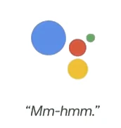 Google Duplex Logo